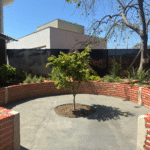 inauguração do Horto Medicinal | Relógio do Corpo Humano. Inspirado na Medicina Oriental, o espaço relaciona os horários do dia à energia dos órgãos, promovendo o cuidado em sintonia com os ritmos naturais do corpo humano. Um projeto da Faculdade Ciências Médicas de Minas Gerais