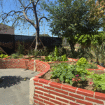 inauguração do Horto Medicinal | Relógio do Corpo Humano. Inspirado na Medicina Oriental, o espaço relaciona os horários do dia à energia dos órgãos, promovendo o cuidado em sintonia com os ritmos naturais do corpo humano. Um projeto da Faculdade Ciências Médicas de Minas Gerais